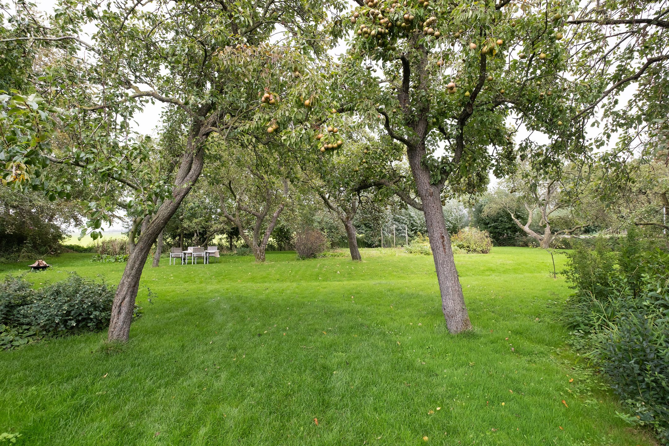 Photo 42 of Middenweg 37