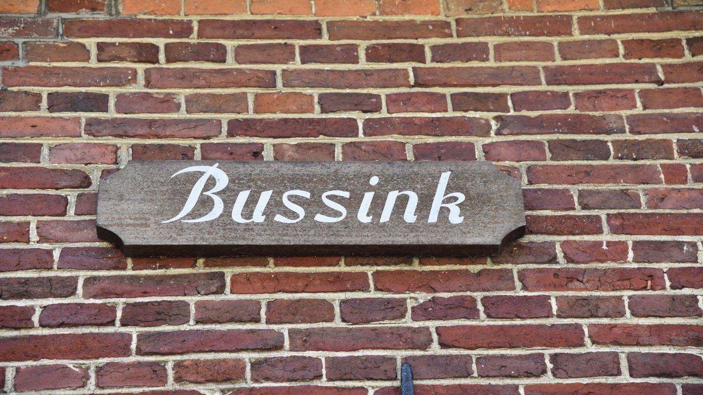 Bekijk foto 4 van Bussinksweg 5