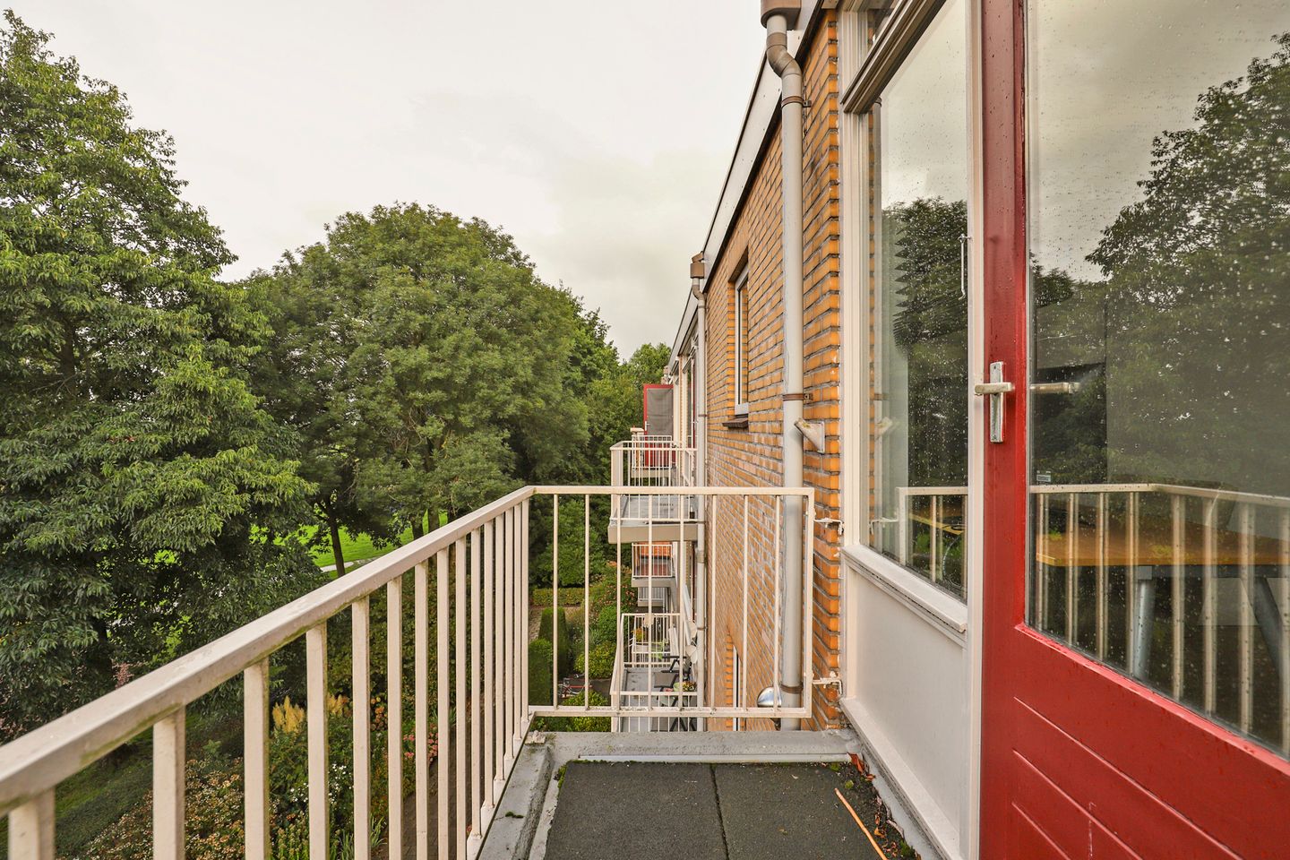 Foto 14 van Wilgenoord 95