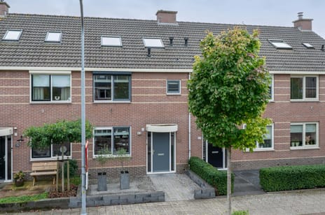 Meerkoetstraat thumbnail