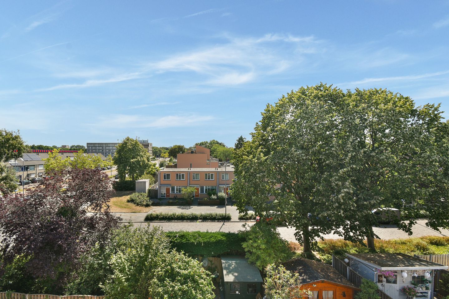 Photo 19 of Bijster 25