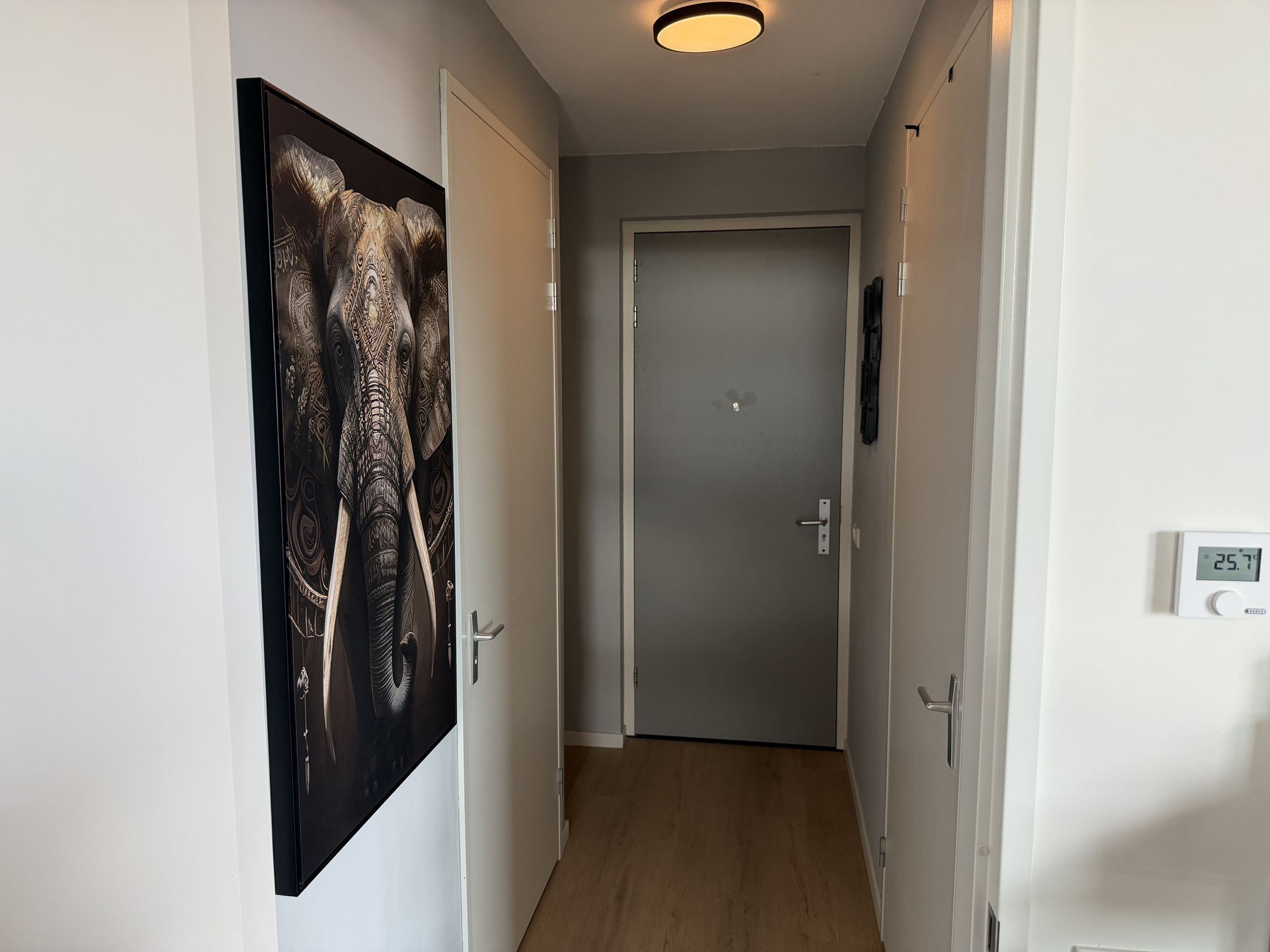 Appartement St. Theresiastraat 2 — foto 2