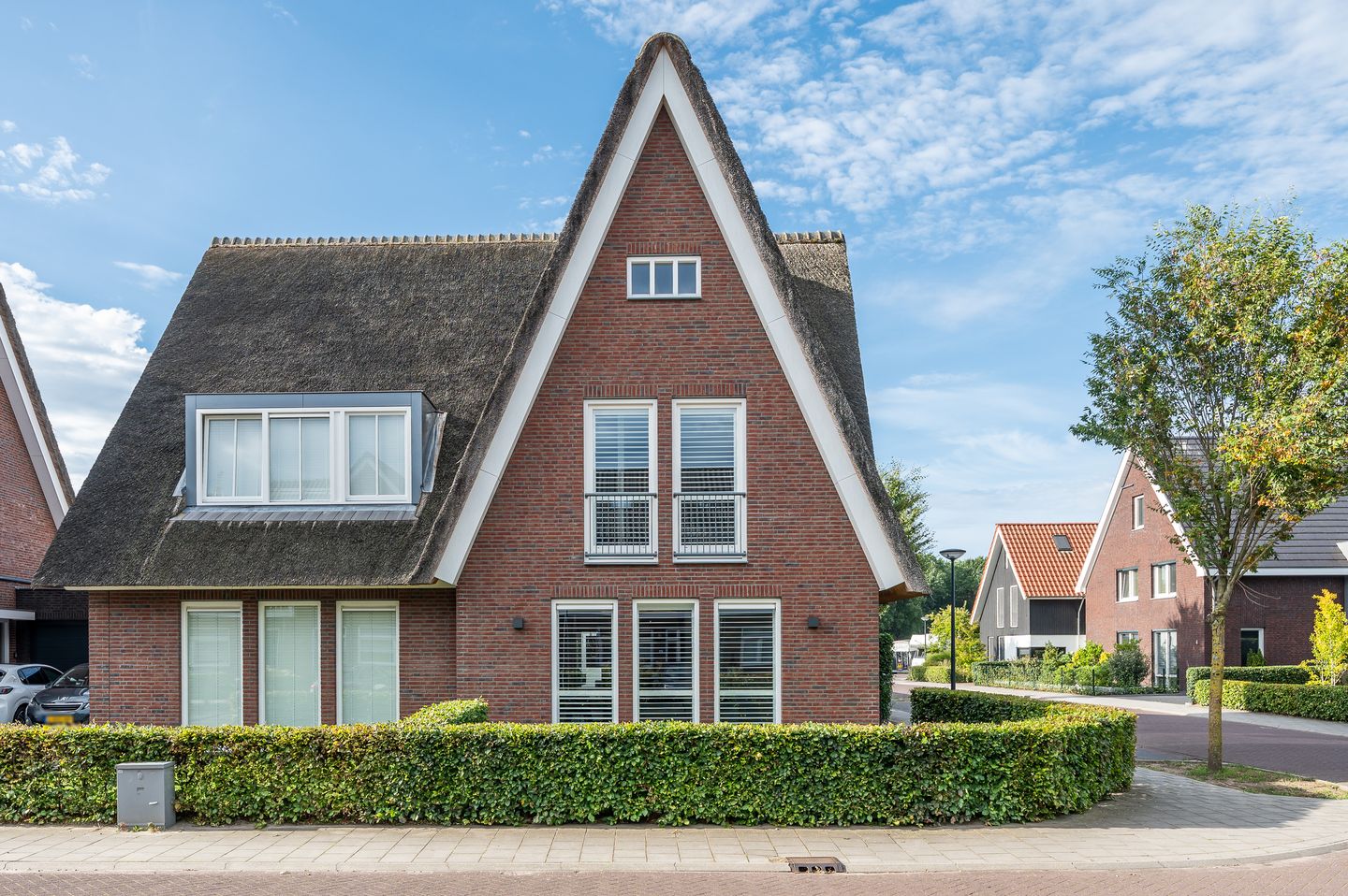 Foto 10 van Zandoogje 1