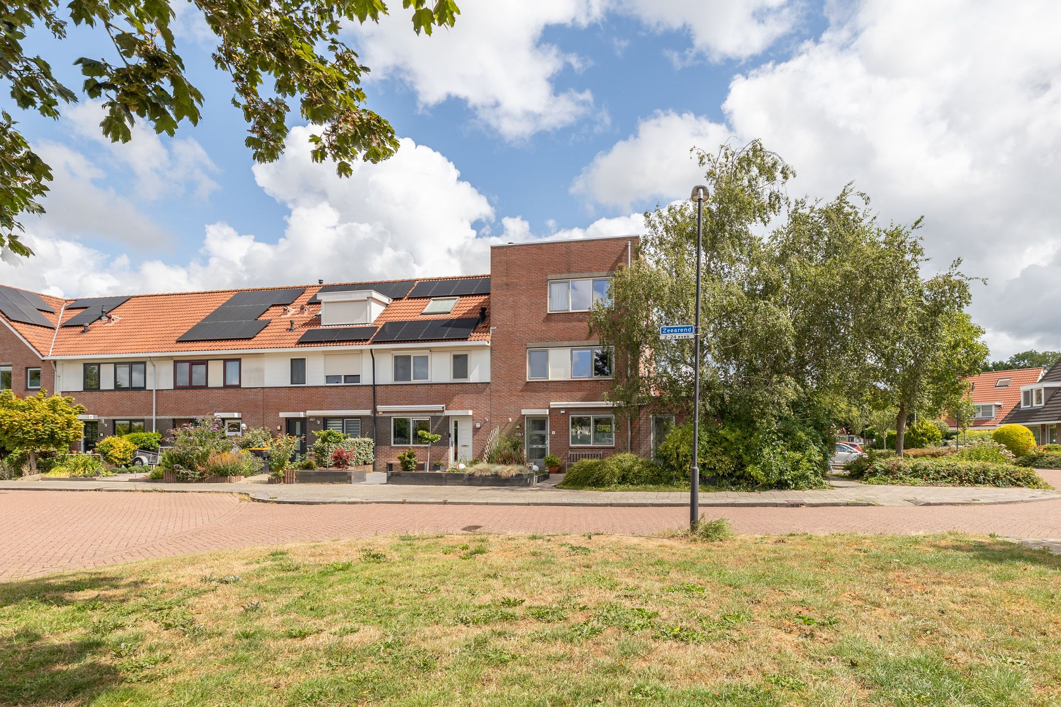 Foto 57 van Zeearend 2