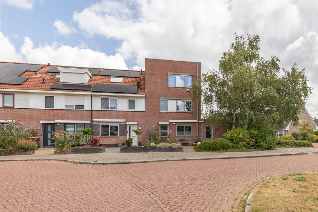 Foto 56 van Zeearend 2