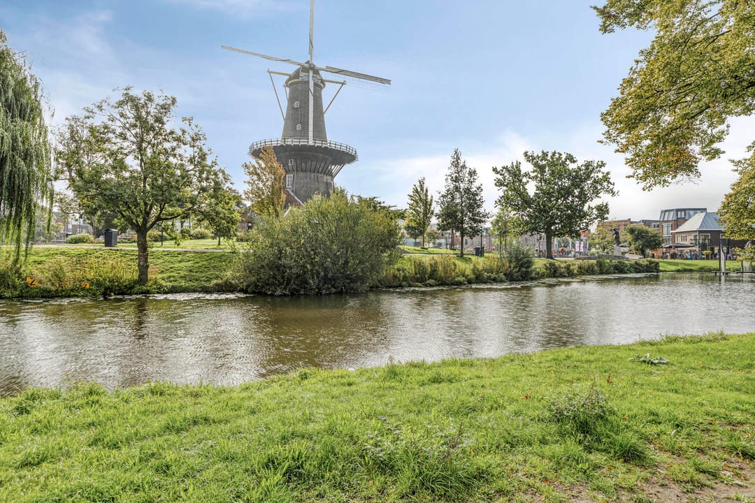 Photo 7 of Rijnsburgersingel 44