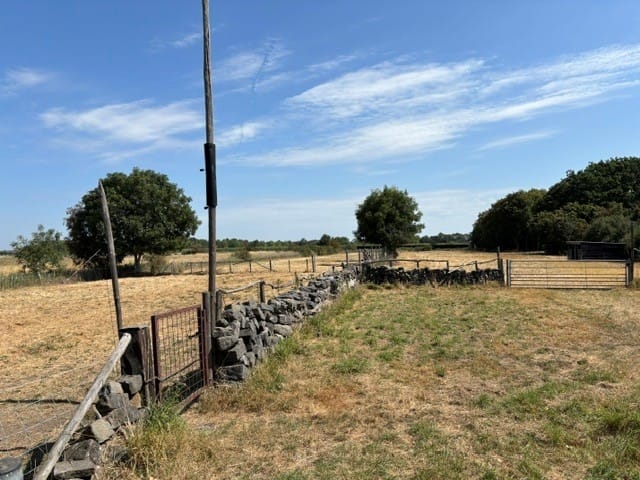 Bekijk foto 5 van Voornseweg 14