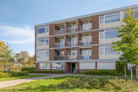 Röntgenstraat thumbnail