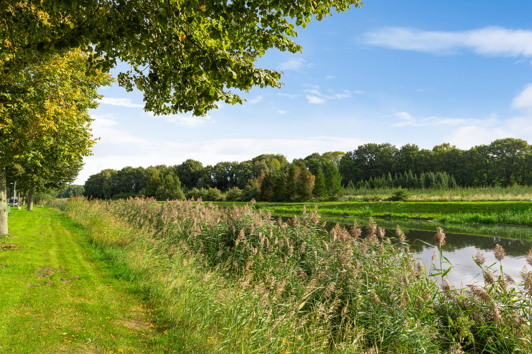 Photo 38 of Koraalstoep 71