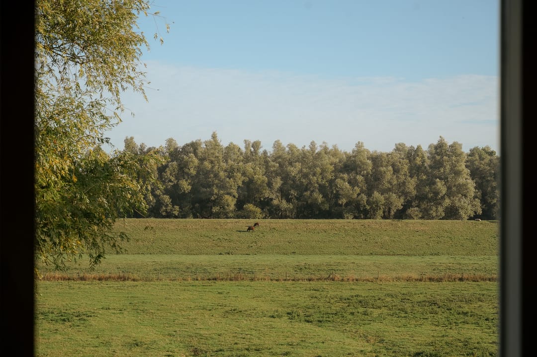 Photo 31 of Waalbandijk 42