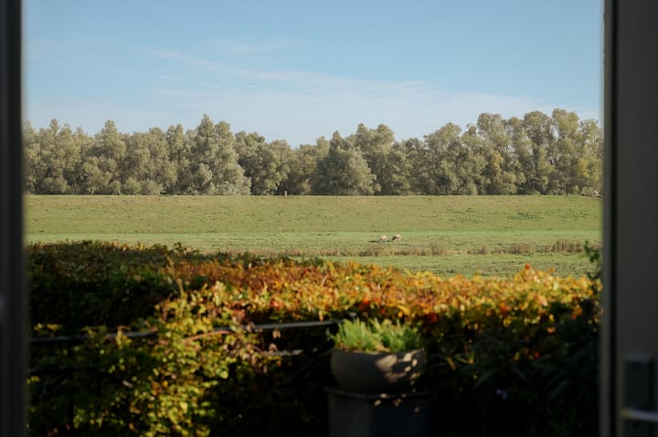Foto 4 van Waalbandijk 42