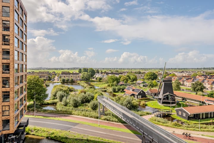 Foto 4 van Mahoniehout 425