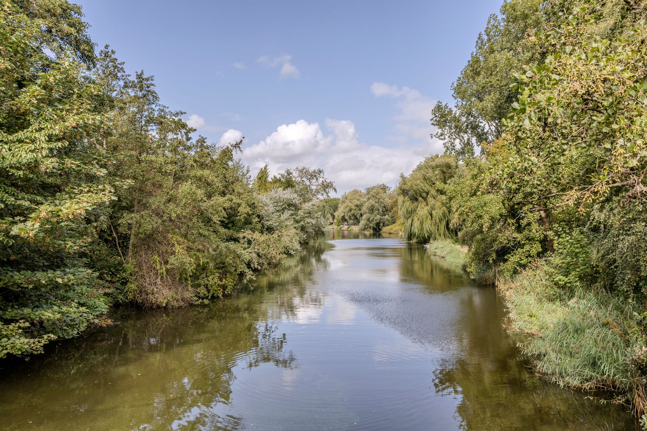 Photo 21 of Oost-Dorsch 142
