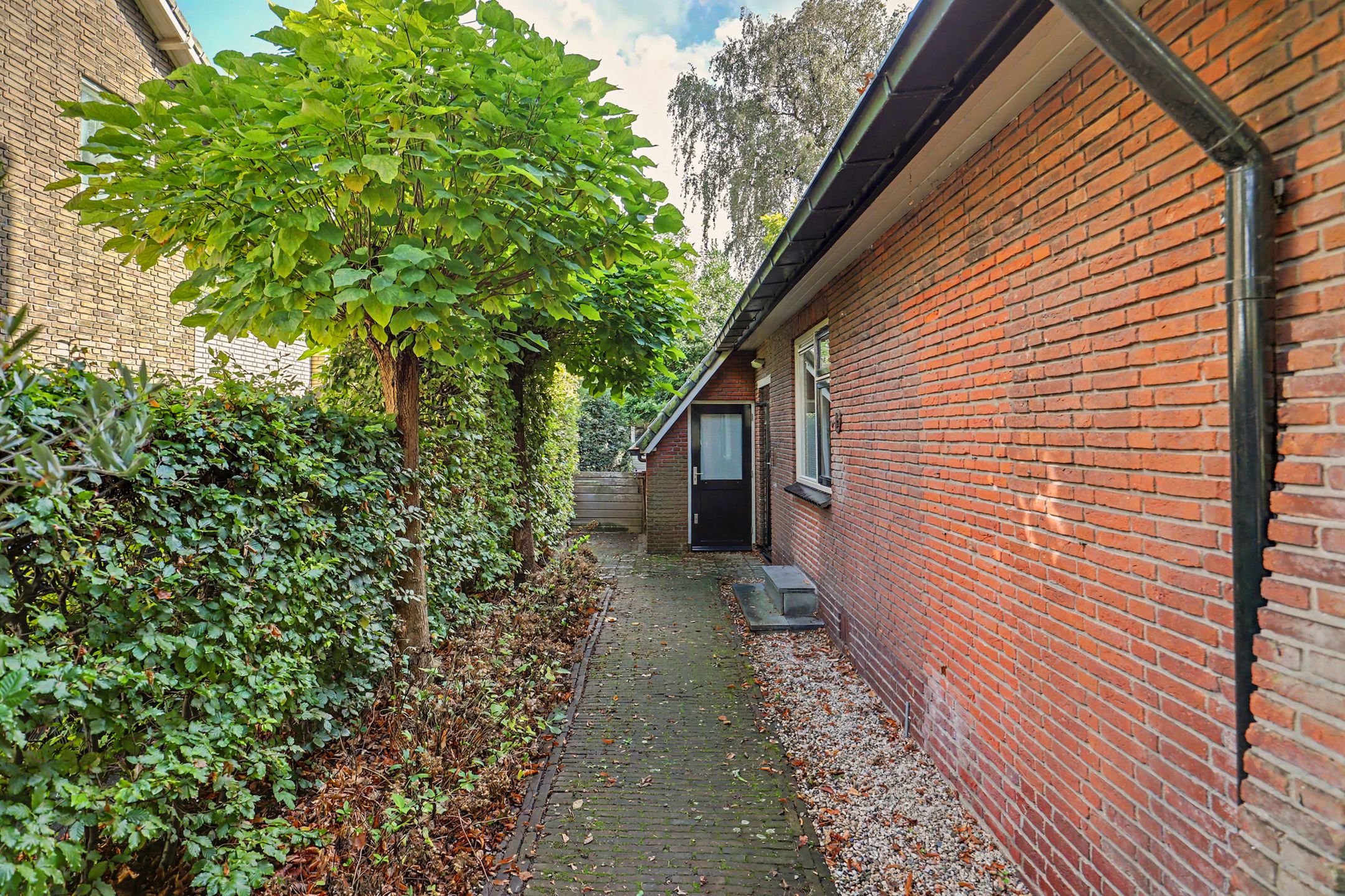Foto 48 van Oranjestraat 113