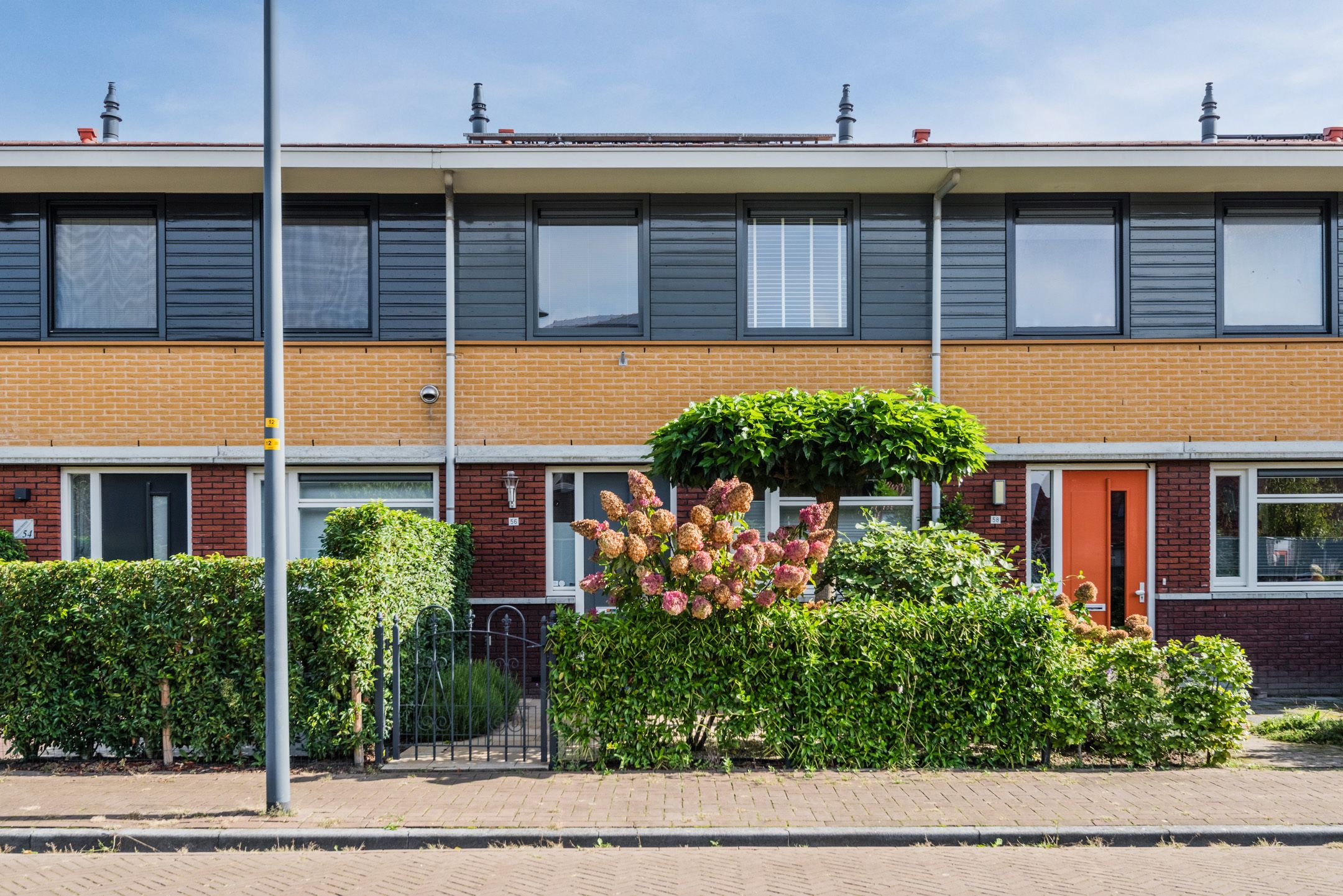 Vuurvlinder 56