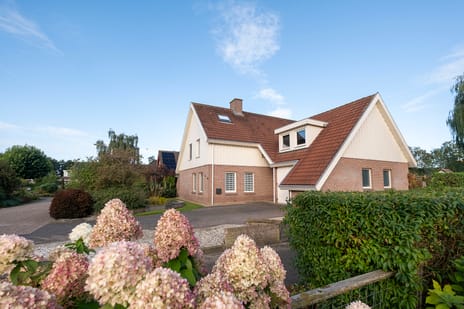 Pinksterbloem thumbnail