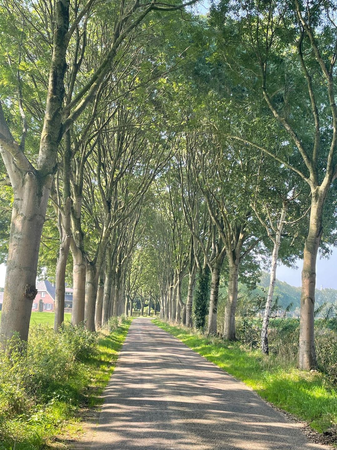 Photo 32 of Hoonhorstweg 2