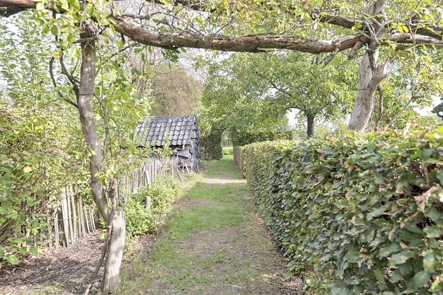 Foto 61 van Pandelaar 91
