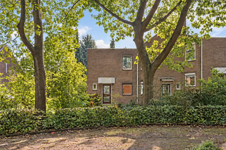 P. Petersstraat thumbnail