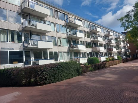 Burgemeester Edo Bergsmalaan thumbnail