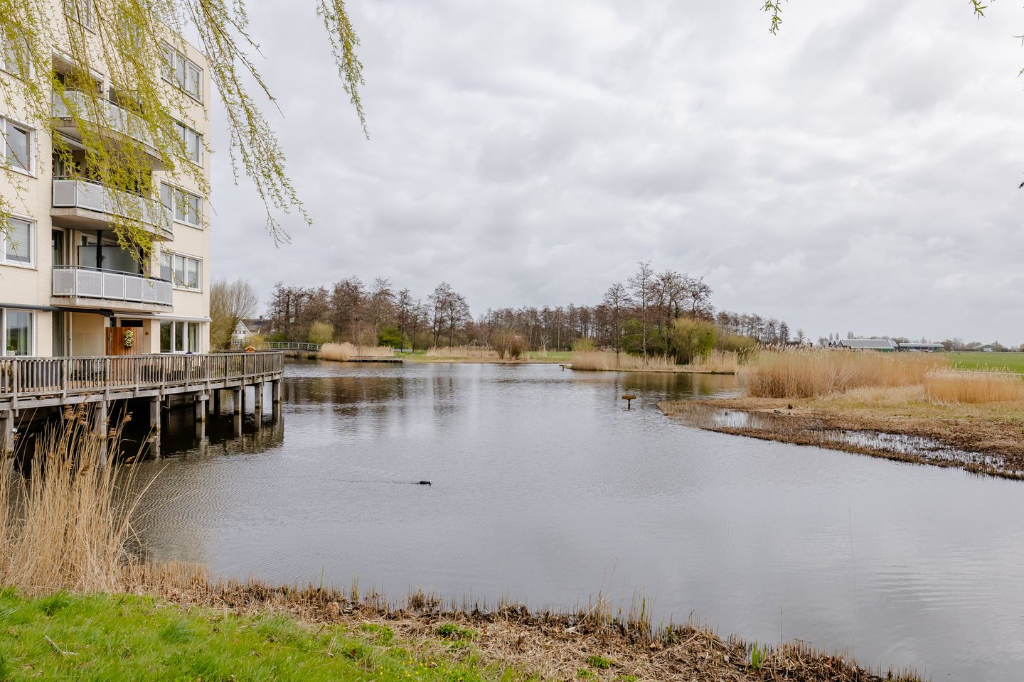 Foto 4 van Oosterweide 95