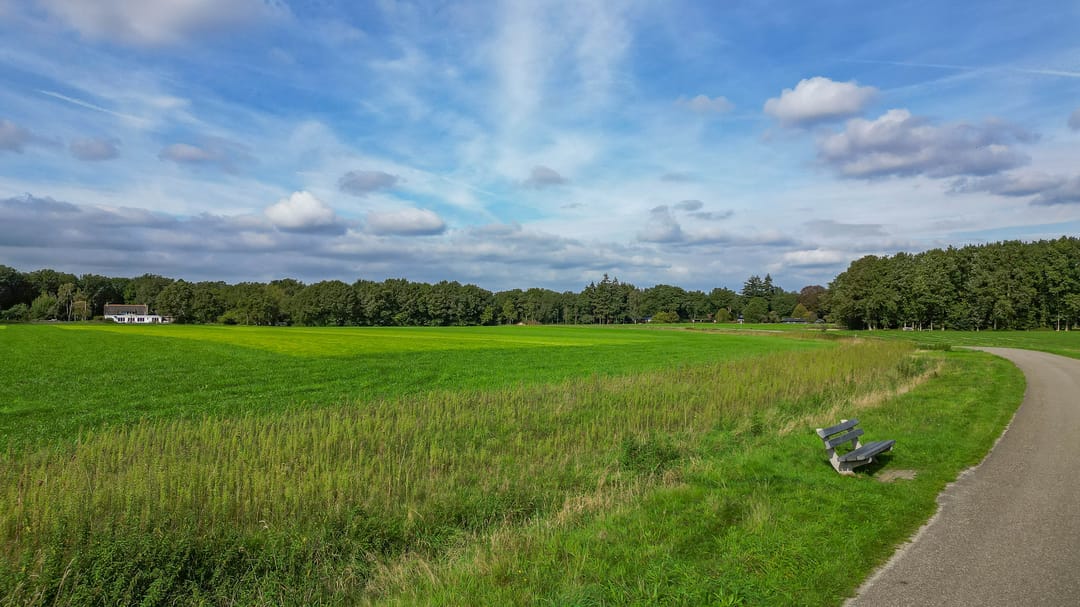 Foto 41 van Hezenes 31