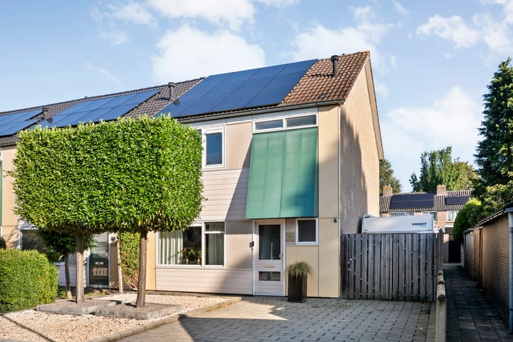 Lepelaarweg 49