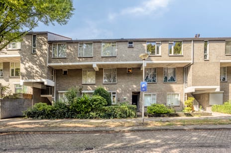 Zonnebloemstraat thumbnail