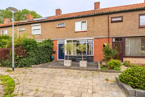 Jacques Perkstraat thumbnail