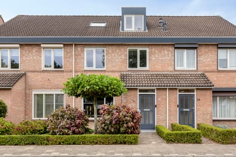 Steenstraat thumbnail