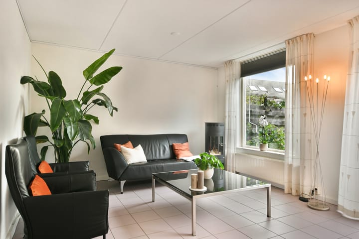 Photo 2 of Pijlkruid 5