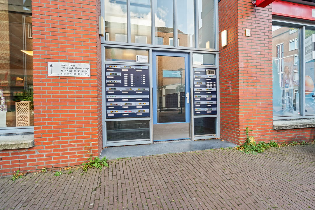 Foto 41 van Grote Haag 43
