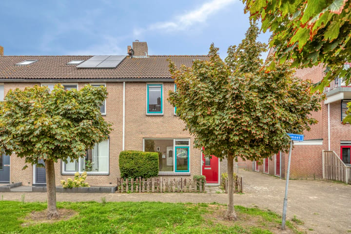 Foto 4 van Komeet 41