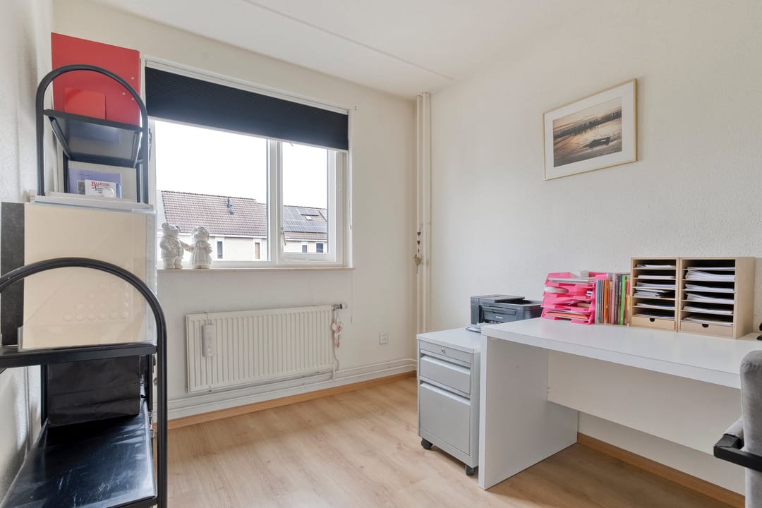 Photo 23 of Pijlkruid 57