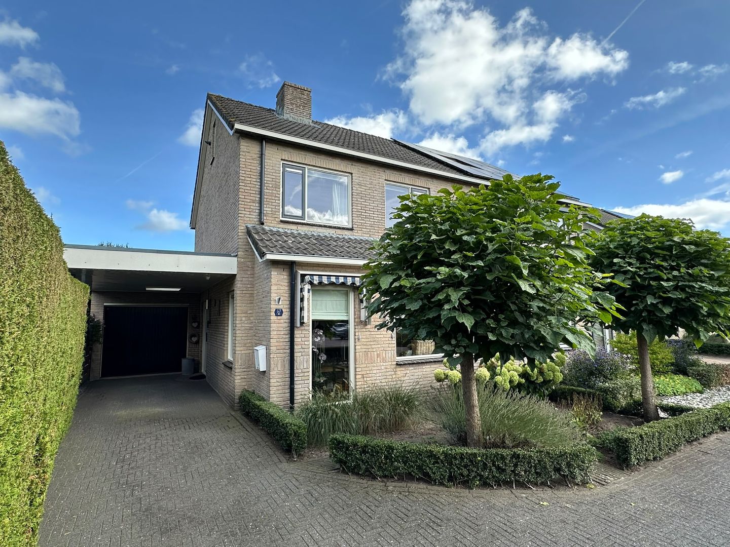 Foto 1 van Pijlkruid 57