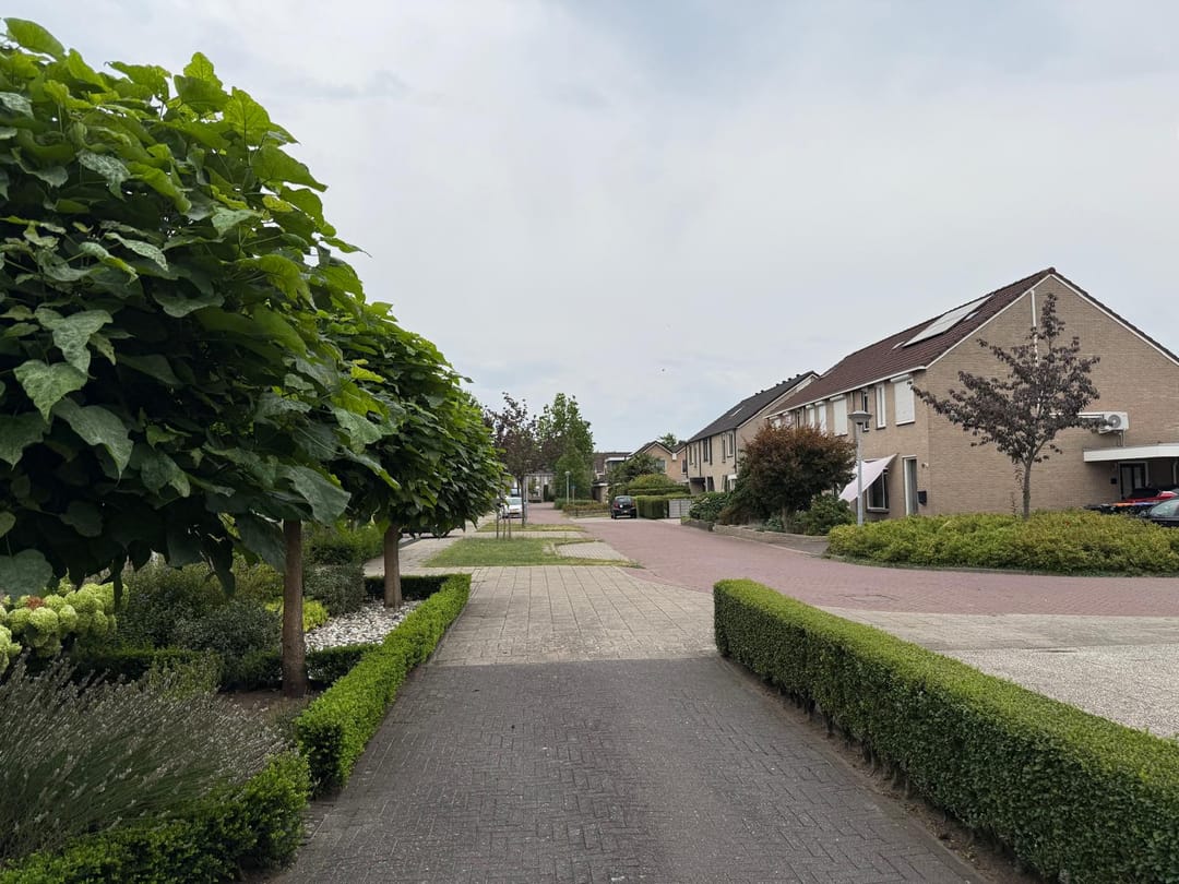 Photo 41 of Pijlkruid 57
