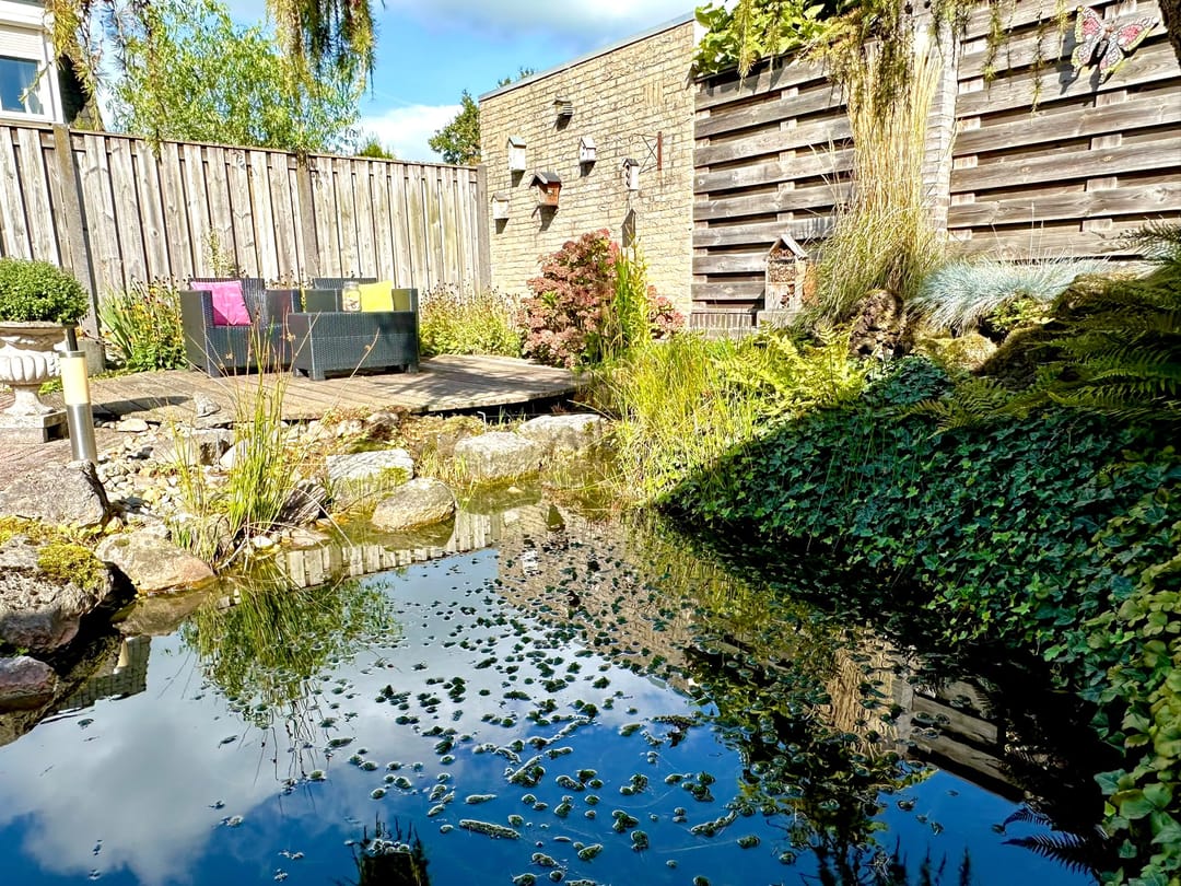 Photo 37 of Pijlkruid 57