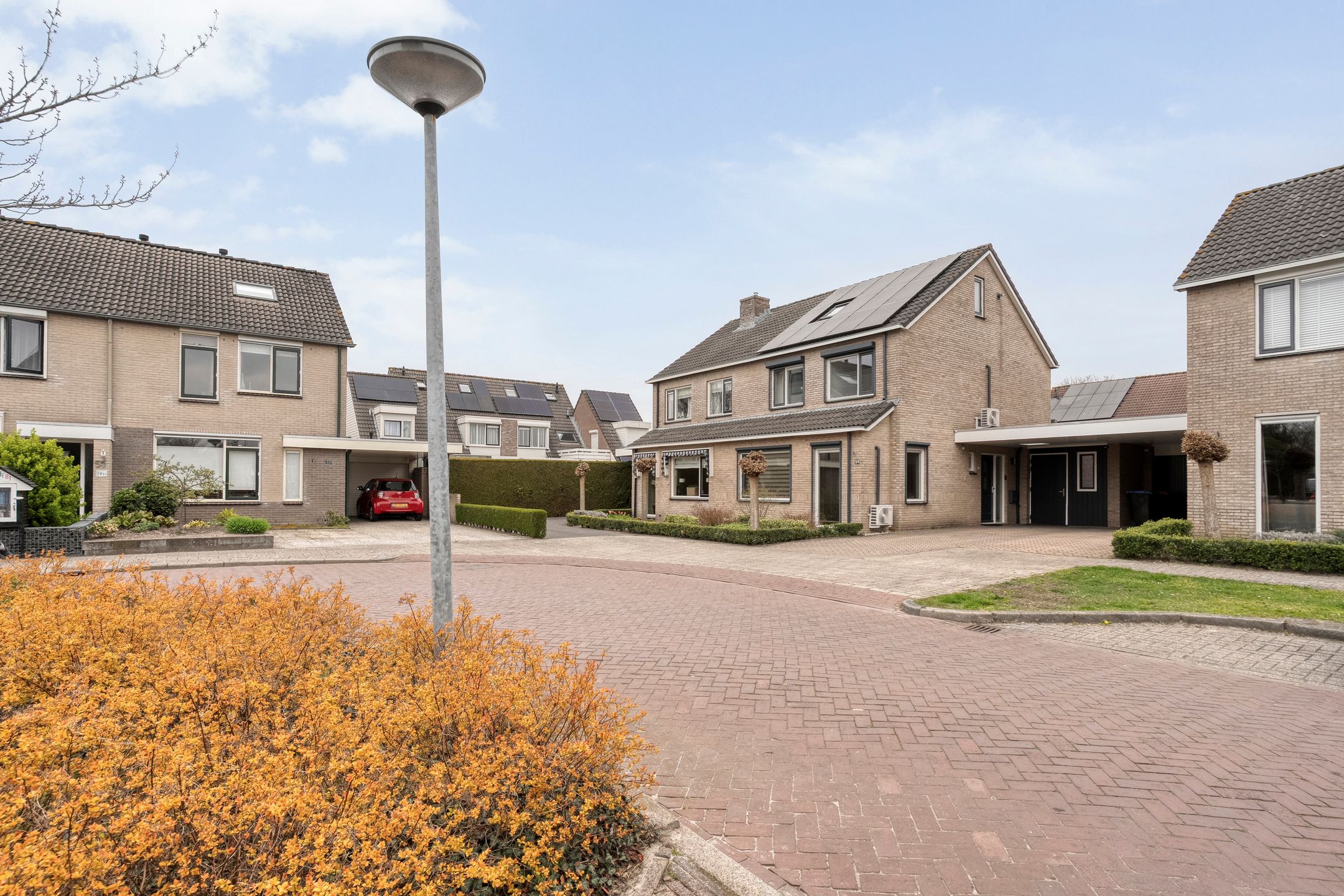 Photo 45 of Pijlkruid 57