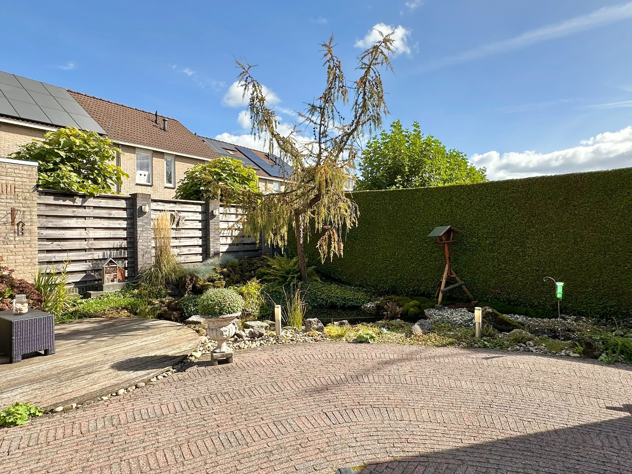 Photo 36 of Pijlkruid 57