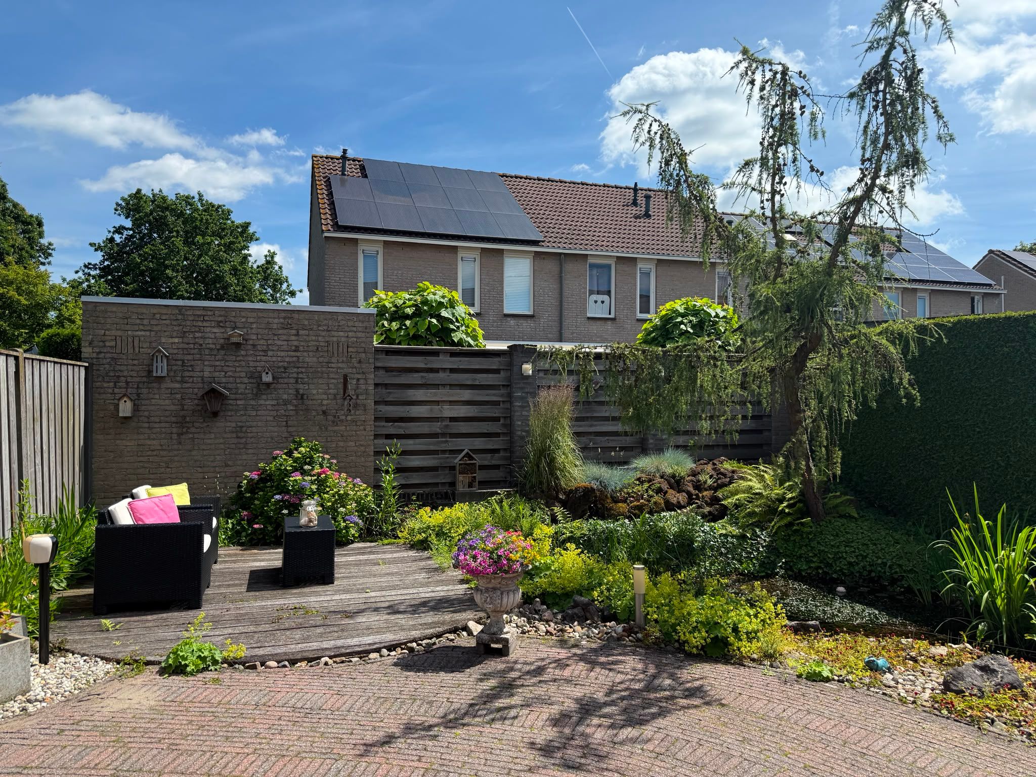 Photo 39 of Pijlkruid 57