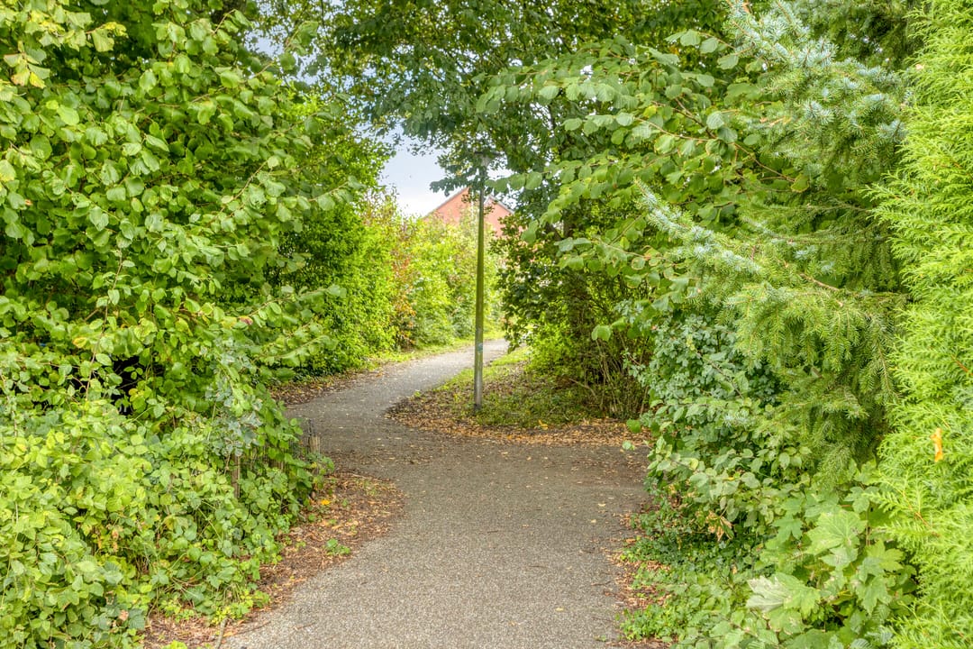 Foto 43 van Noorderbocht 81