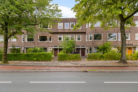 Petrus Campersingel thumbnail