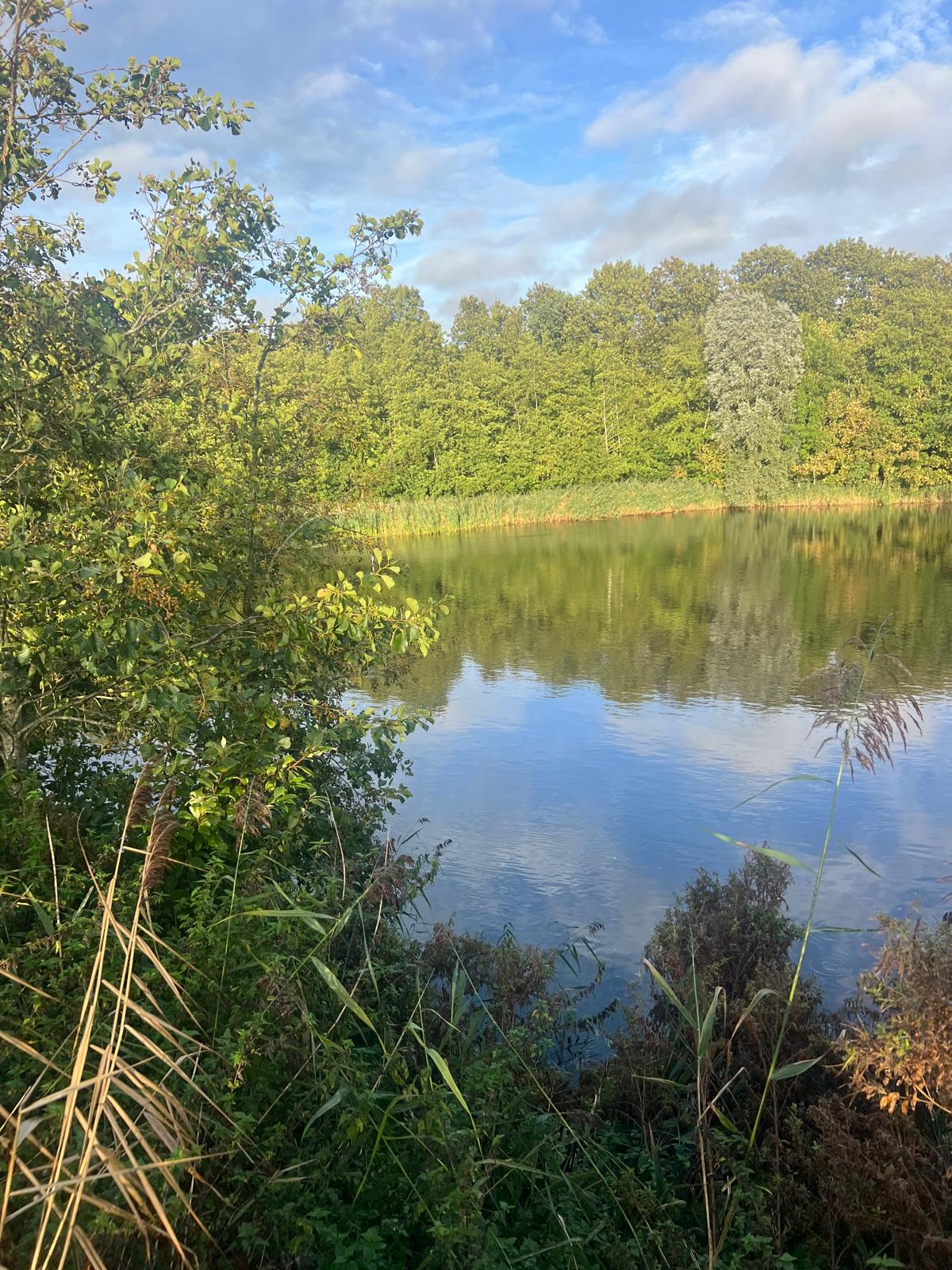 View photo 4 of Rypsterdyk
