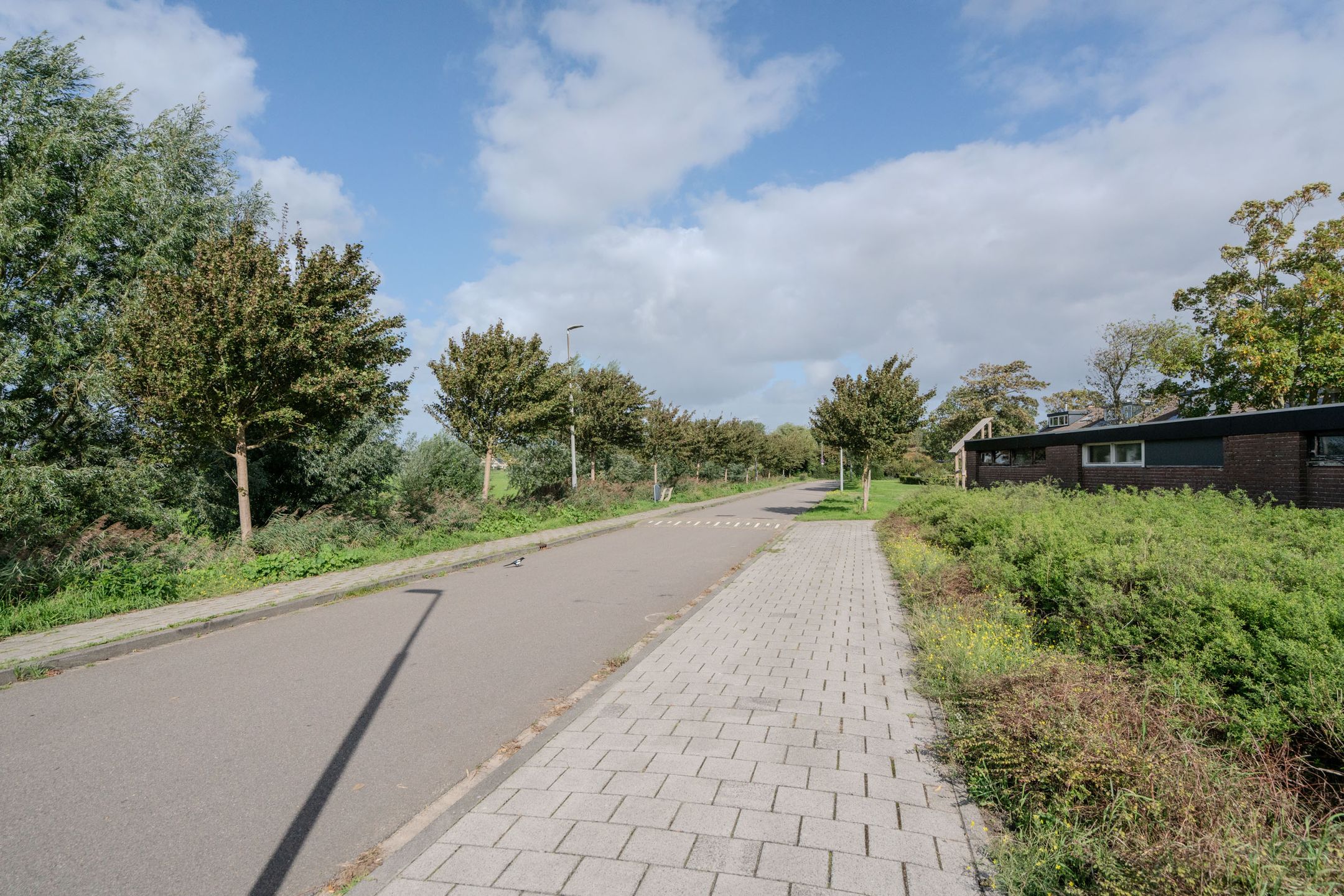 Photo 12 of Beveland 67
