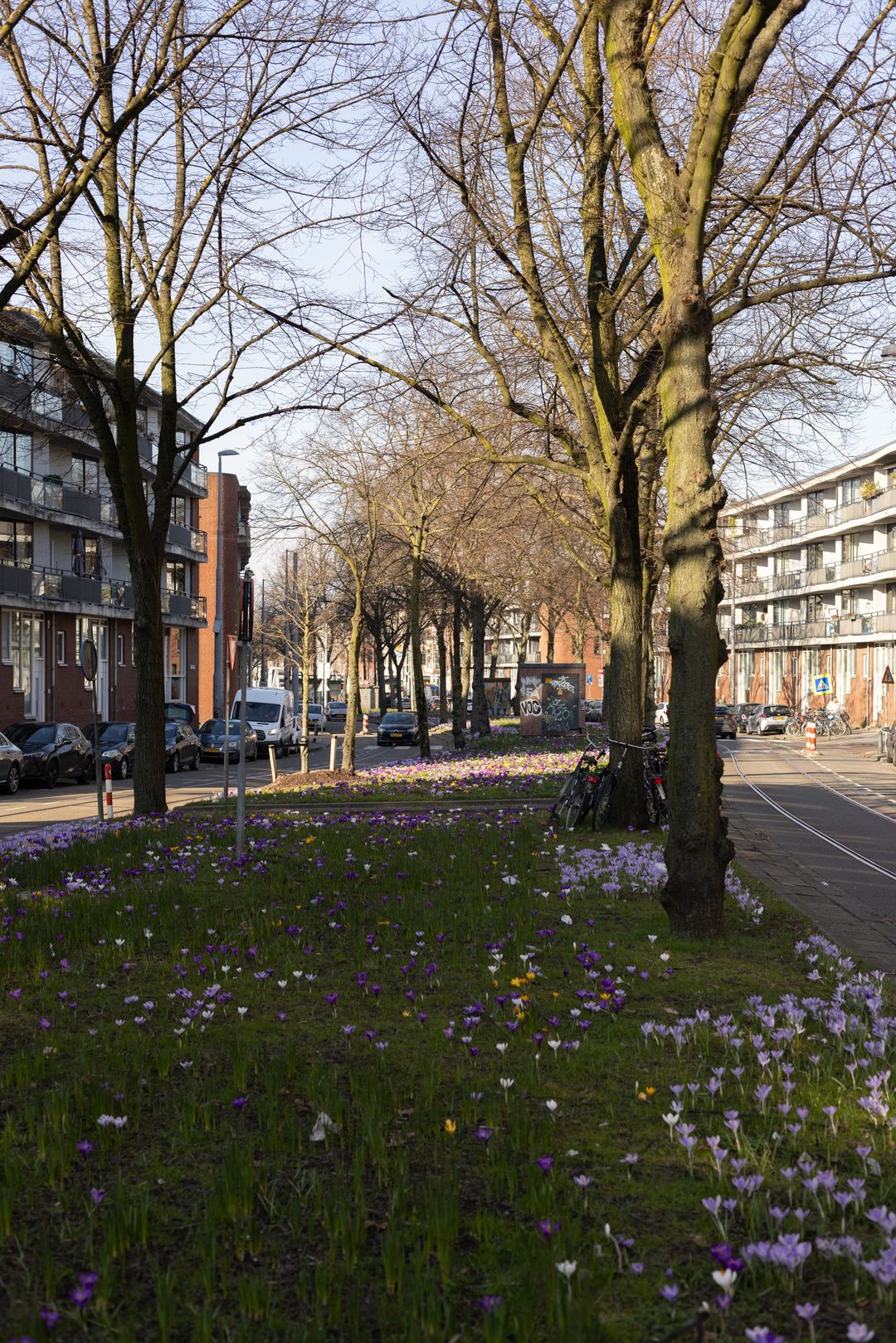 Photo 38 of Claes de Vrieselaan 160-B01