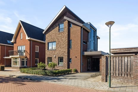 Paardebloem thumbnail