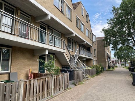 Rhijnauwensingel thumbnail
