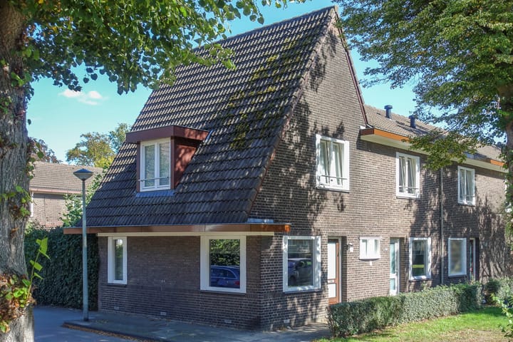 Foto 2 van Goltziusstraat 13