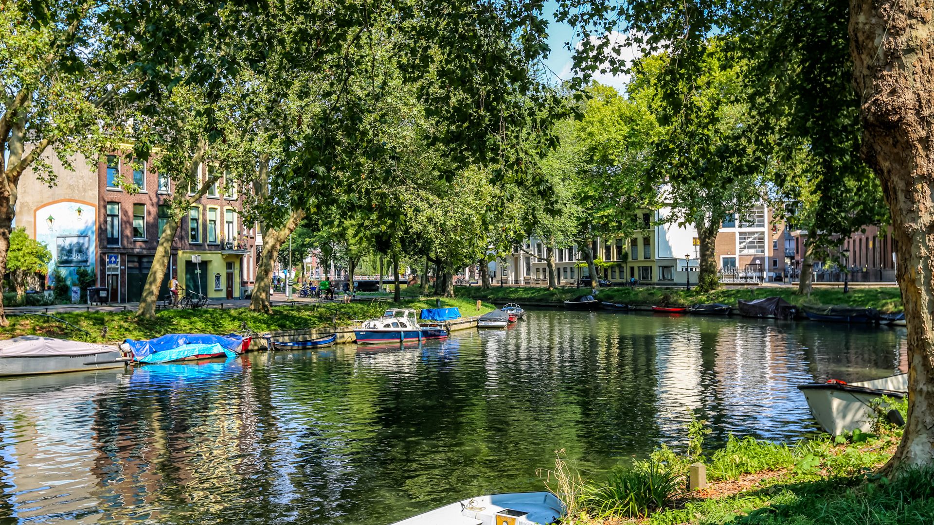 Photo 69 of Kwartelstraat 18-A