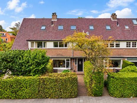 Parklaan thumbnail